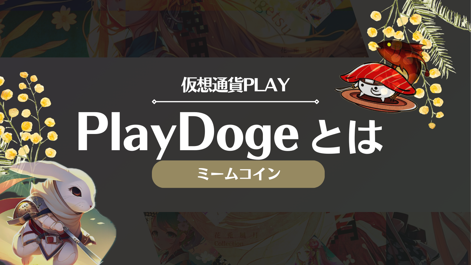 PlayDoge