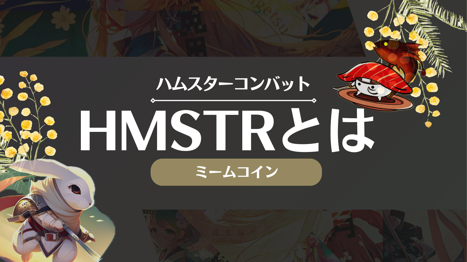 HMSTR