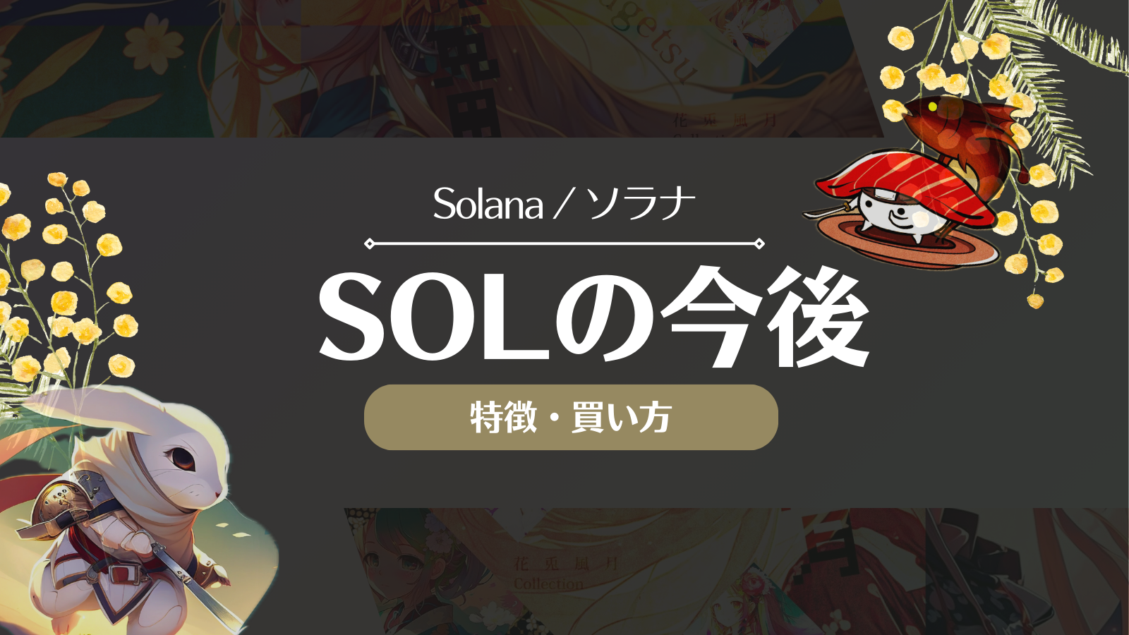 SOL今後