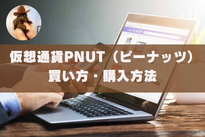 画像0８:#PNUT_将来性_買い方