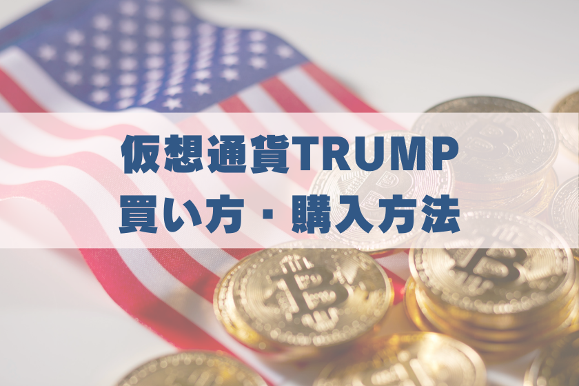 画像７：仮想通貨TRUMP_買い方