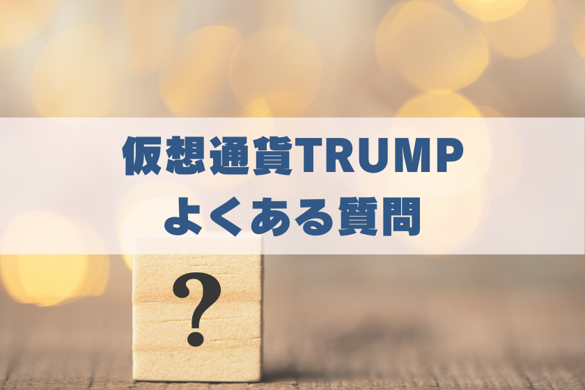 画像11：仮想通貨TRUMP_質問