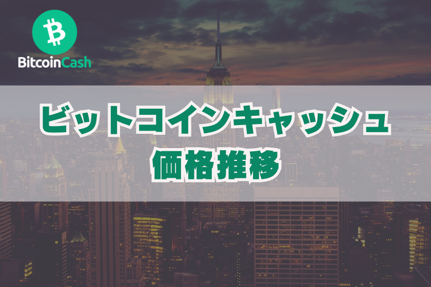 画像５：仮想通貨_BCH_価格推移