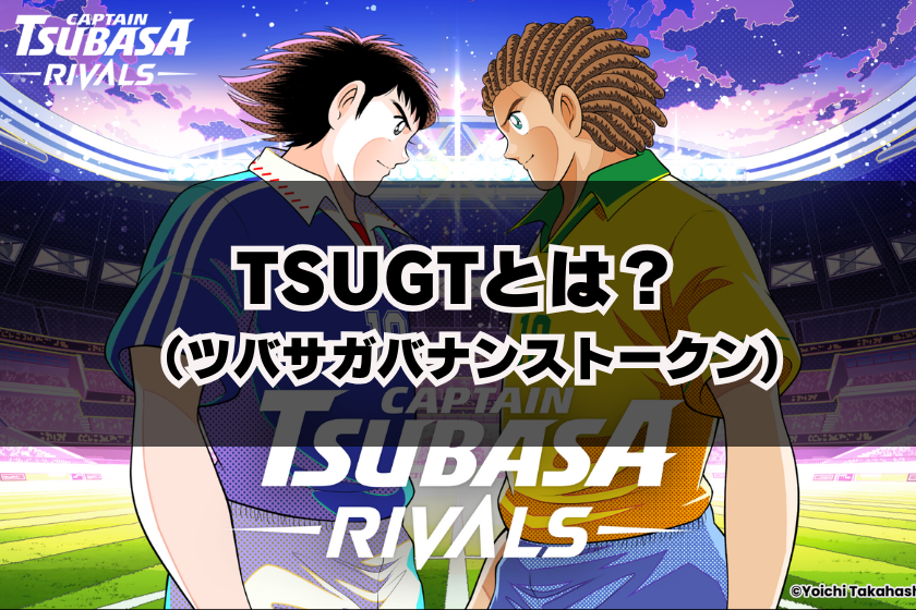 画像2:TSUGT_とは